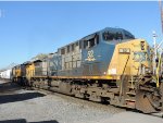 CSX 52 in full sun 